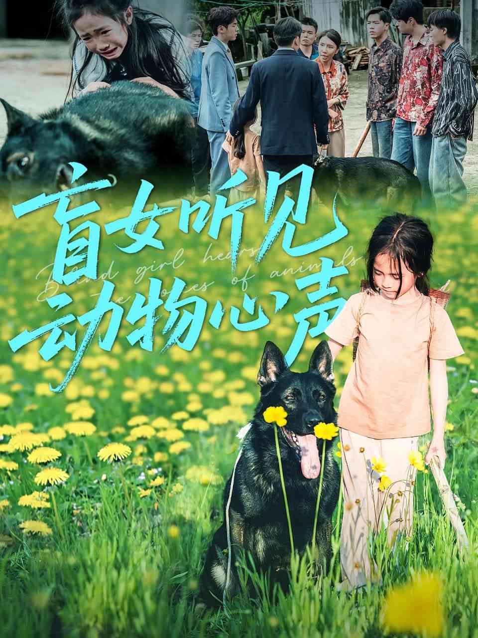 《盲女听见动物心声》全集免费高清短剧无广告在线播放|短剧·中国大陆·2025