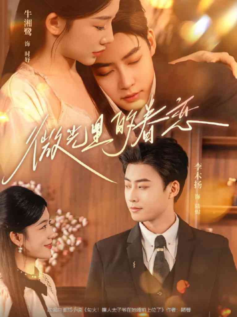 《微光里的眷恋》全集免费高清短剧无广告在线播放|短剧·中国大陆·2025