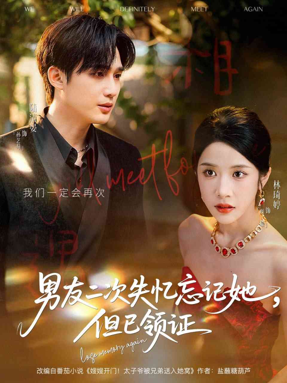 《男友二次失忆忘记她但已领证》全集免费高清短剧无广告在线播放|短剧·中国大陆·2025