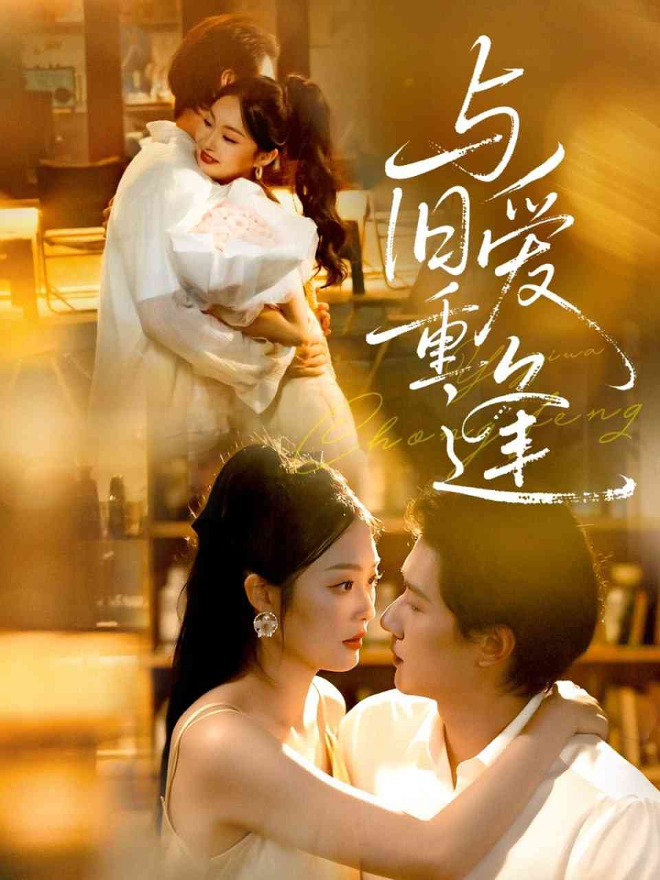 《与旧爱重逢》全集免费高清短剧无广告在线播放|短剧·中国大陆·2025