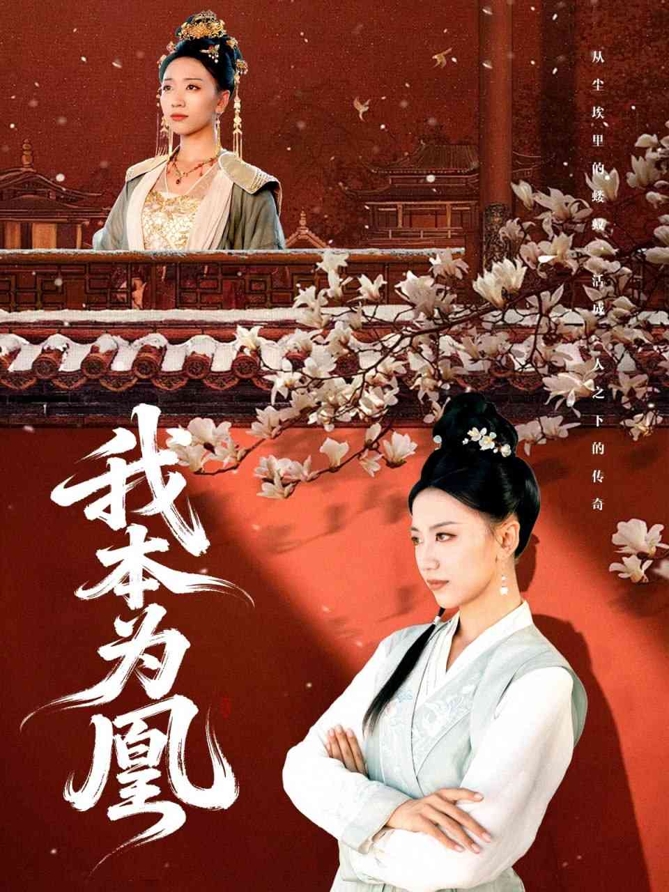 《我本为凰》全集免费高清短剧无广告在线播放|短剧·中国大陆·2025