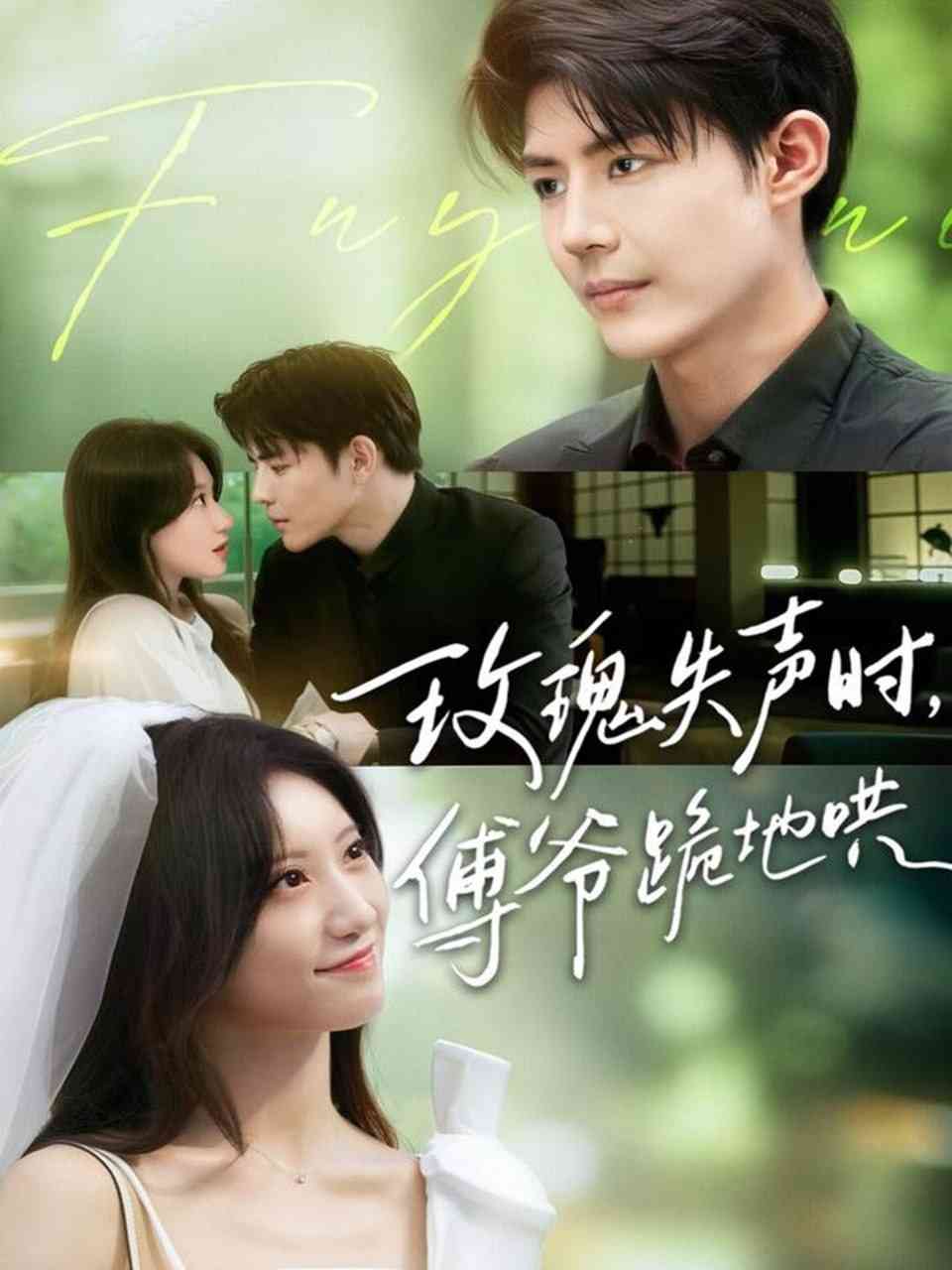 《玫瑰失声时傅爷跪地哄》全集免费高清短剧无广告在线播放|短剧·中国大陆·2025