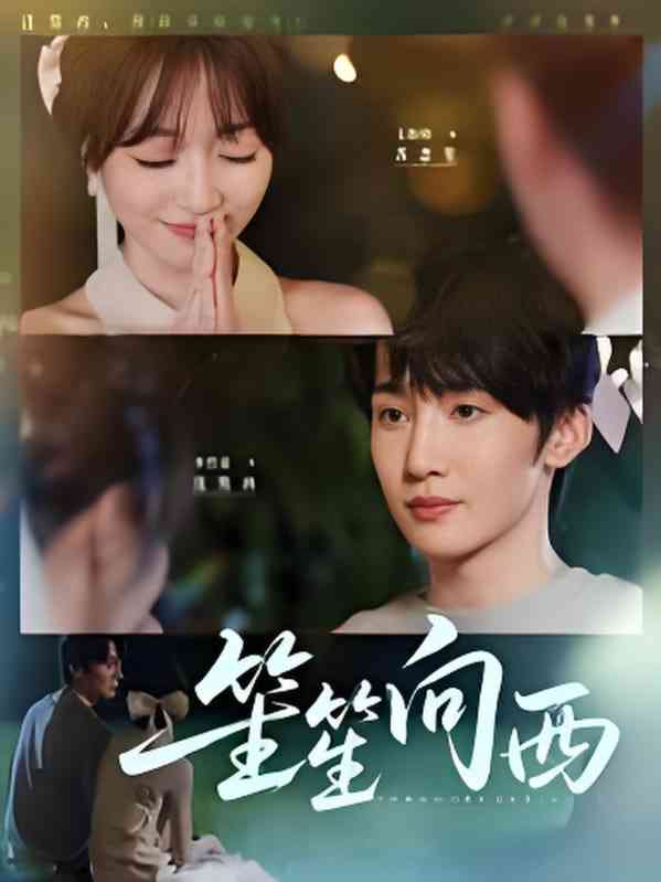 《笙笙向西》全集免费高清短剧无广告在线播放|短剧·中国大陆·2025