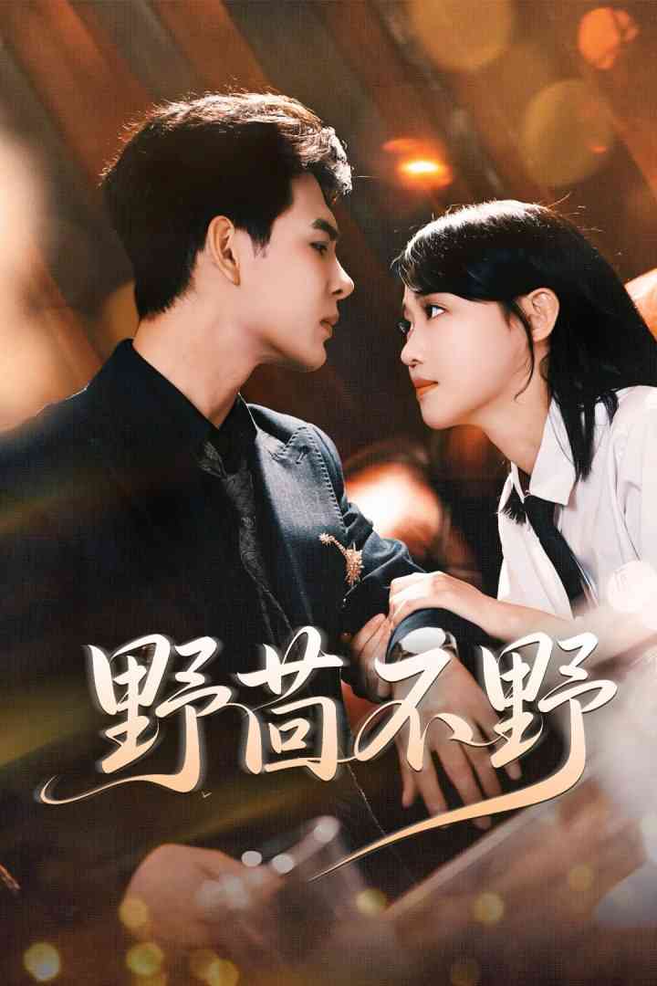 《野茴不野》全集免费高清短剧无广告在线播放|短剧·中国大陆·2025