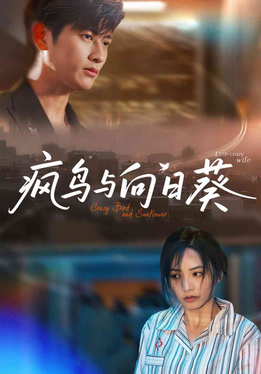《疯鸟与向日葵》全集免费高清短剧无广告在线播放|短剧·中国大陆·2025