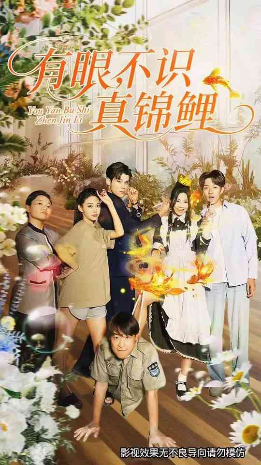 《有眼不识真锦鲤》全集免费高清短剧无广告在线播放|短剧·中国大陆·2025
