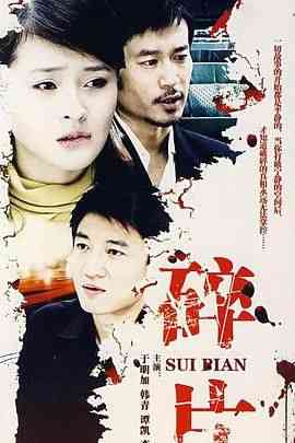 《婚姻相对论》全集免费高清电视剧无广告在线播放|剧情,家庭·中国大陆·2008