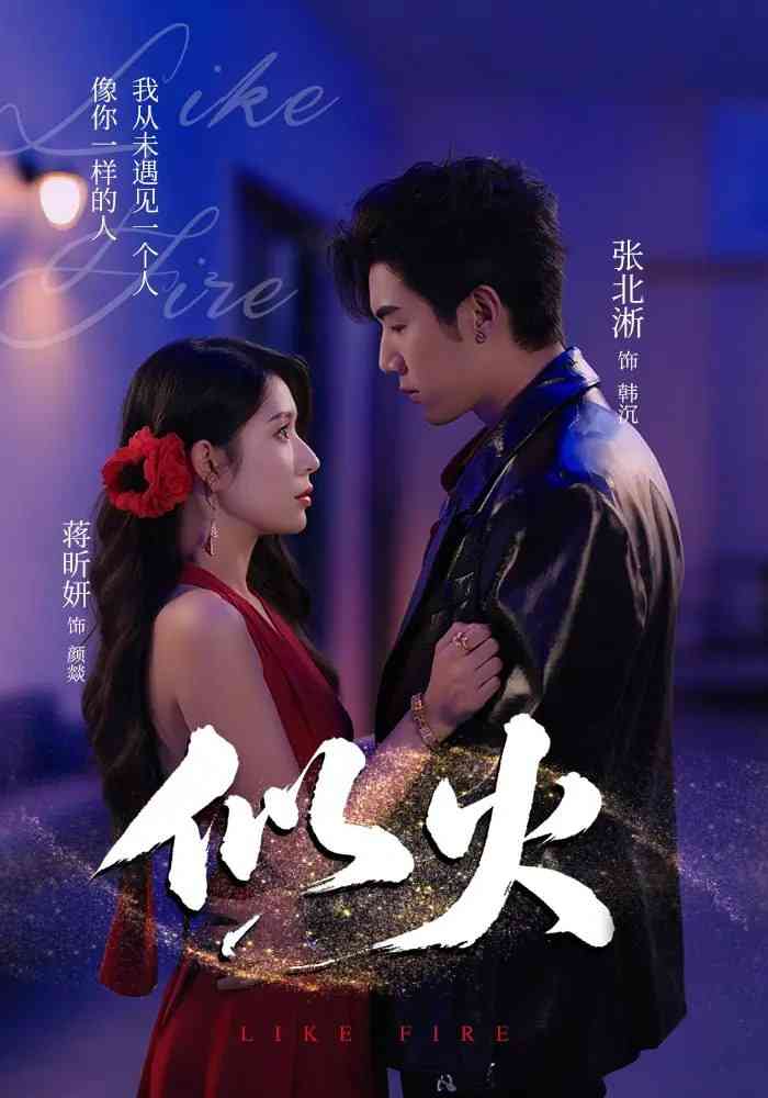 《似火 2025》全集免费高清短剧无广告在线播放|短剧·中国大陆·2025