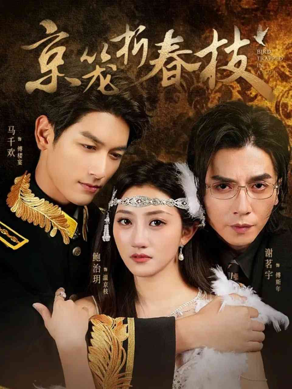 《京笼折春枝》全集免费高清短剧无广告在线播放|短剧·中国大陆·2025