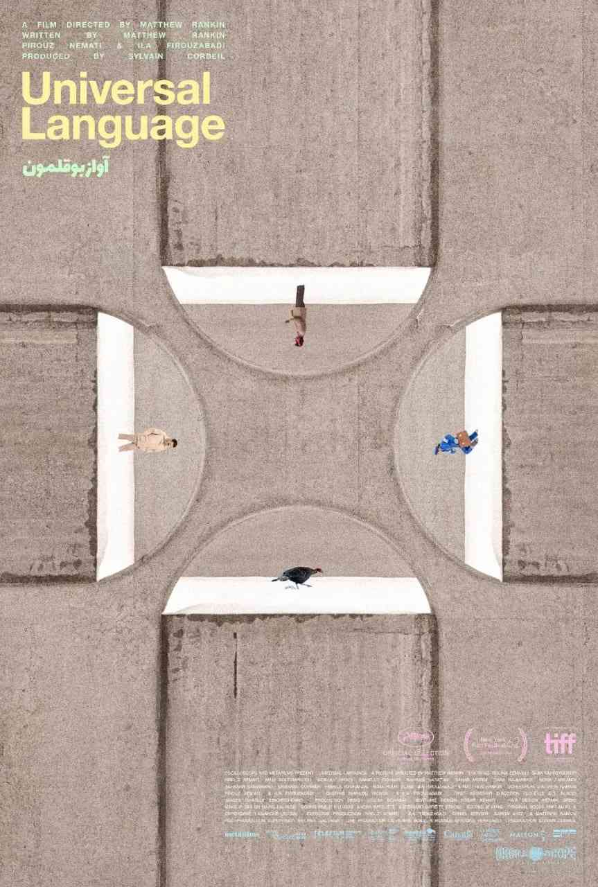 《共同的语言》最新免费高清电影无广告在线播放|剧情·加拿大·2024