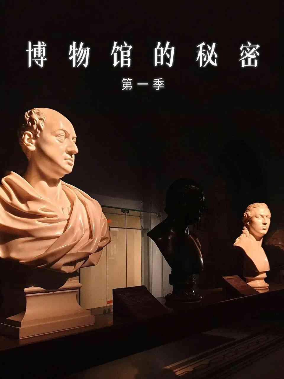 《博物馆的秘密 第一季》最新免费高清电影无广告在线播放|纪录片·英国·2020