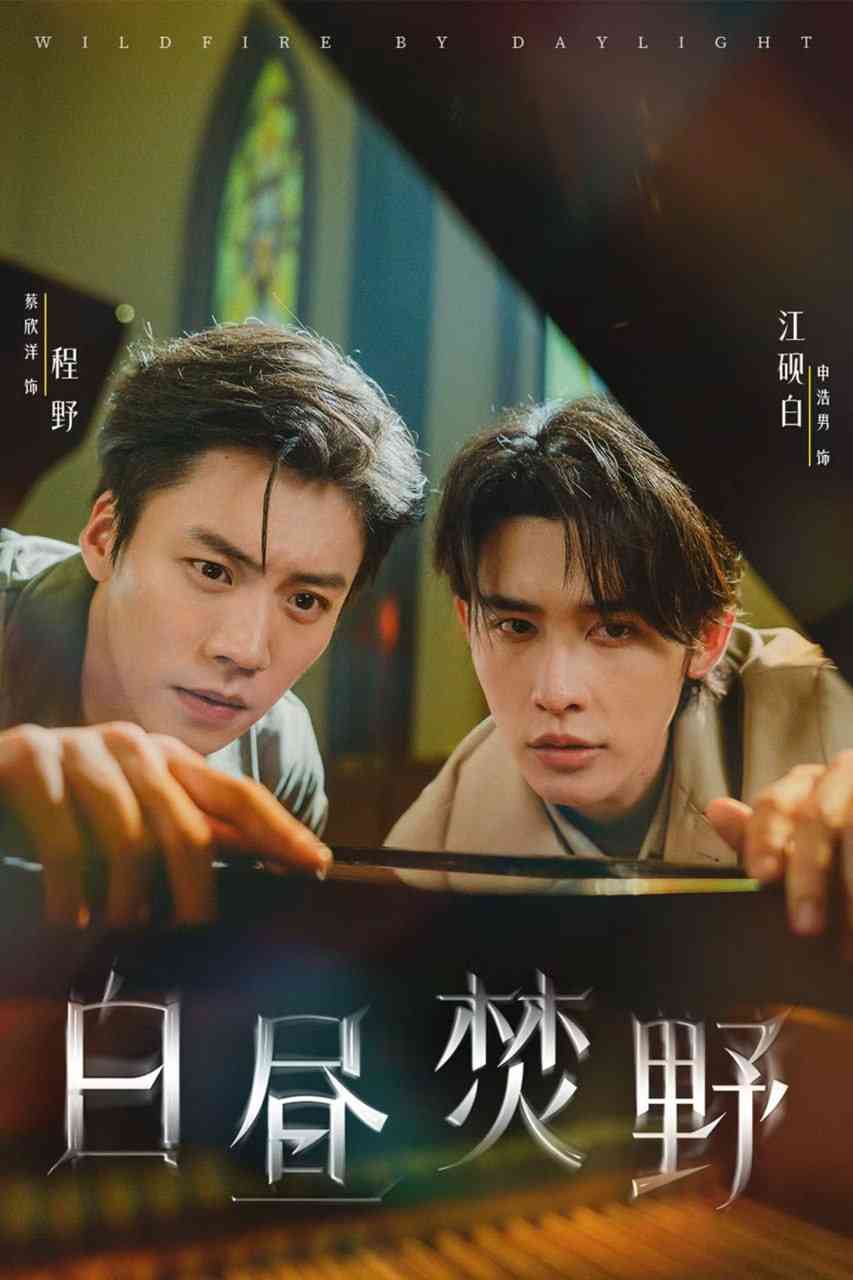 《白昼焚野》全集免费高清短剧无广告在线播放|短剧·中国大陆·2025