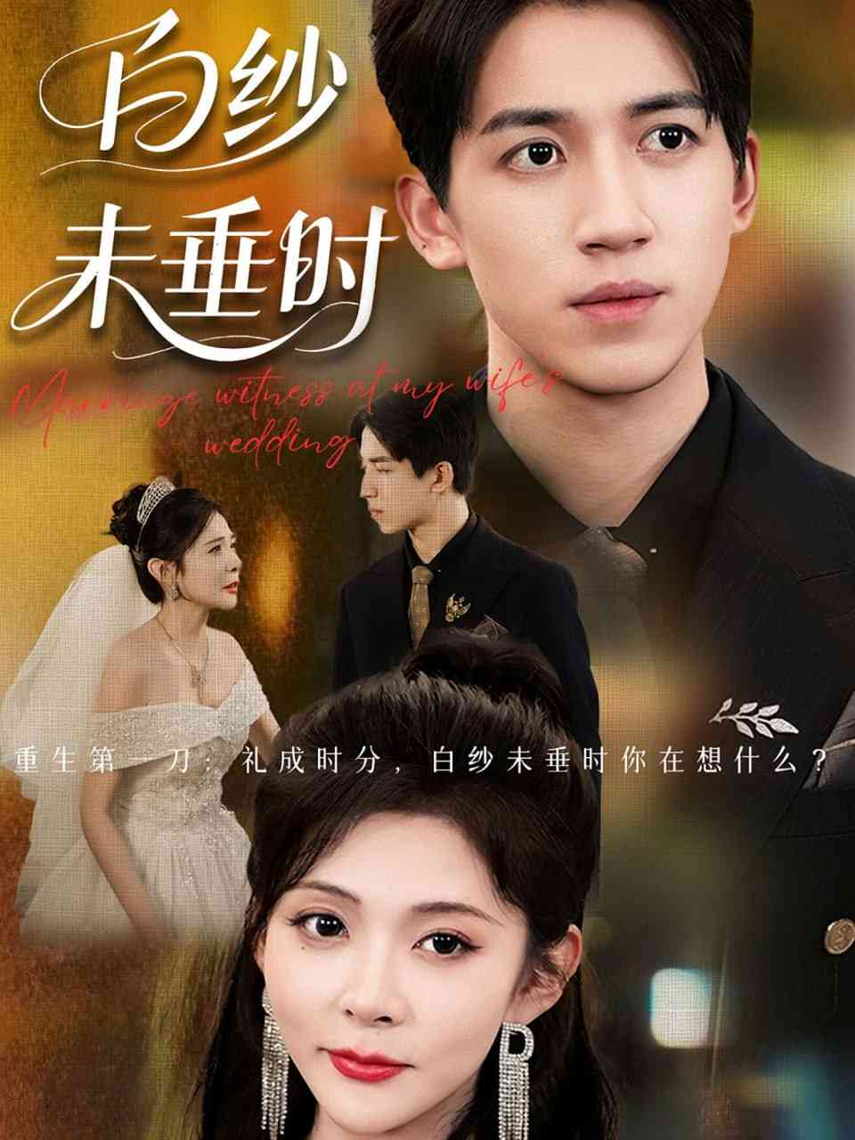 《老婆婚礼我当证婚人》全集免费高清短剧无广告在线播放|短剧·中国大陆·2025