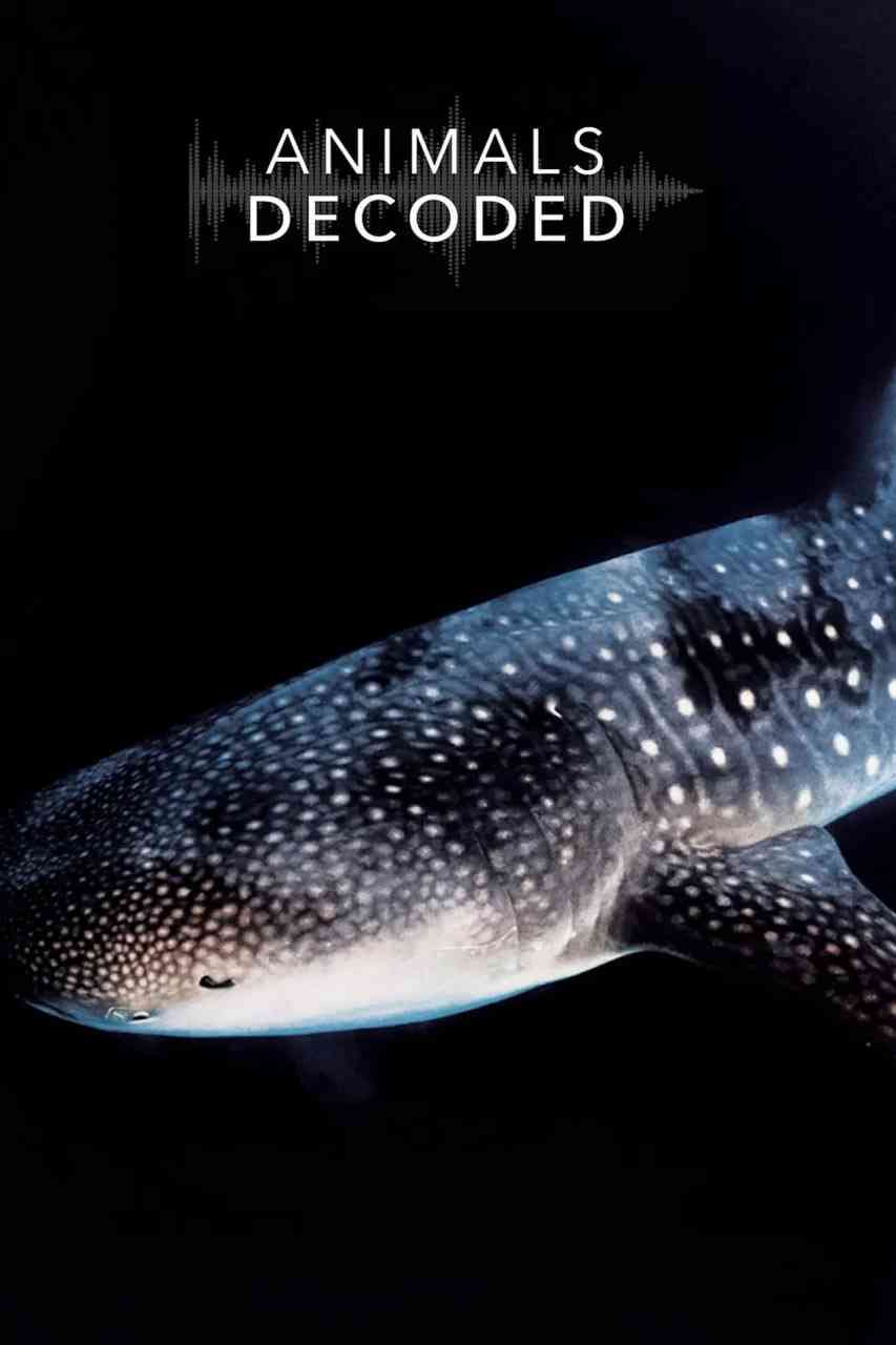 《动物解码》最新免费高清电影无广告在线播放|纪录片·加拿大·2018