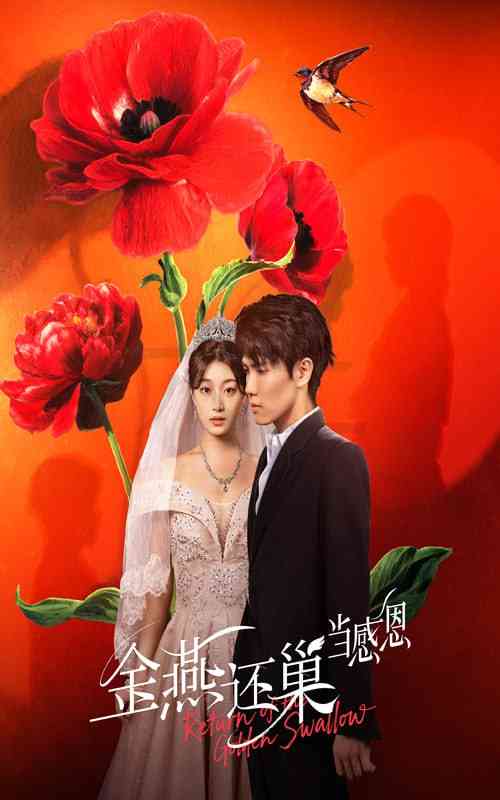 《金燕还巢当感恩》全集免费高清短剧无广告在线播放|短剧·中国大陆·2025