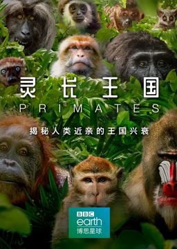 《灵长王国》最新免费高清电影无广告在线播放|纪录片,纪录·中国大陆·2020