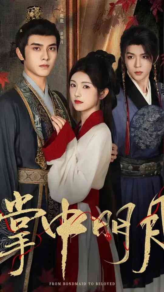 《掌中明月》全集免费高清短剧无广告在线播放|短剧·中国大陆·2025