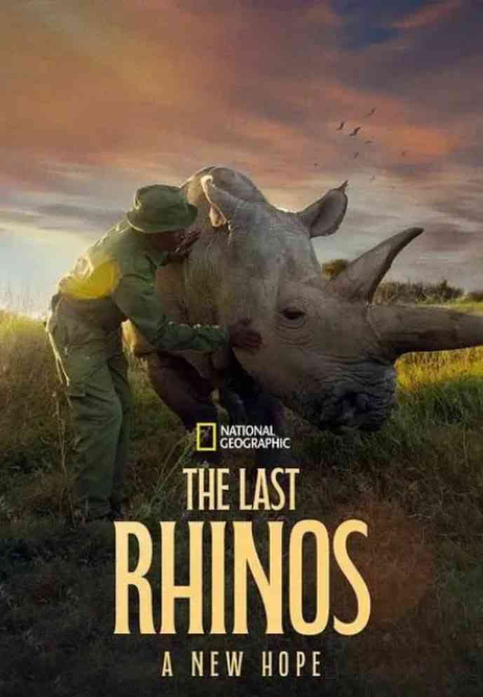 《最后的犀牛：新希望》最新免费高清电影无广告在线播放|纪录片·美国·2025