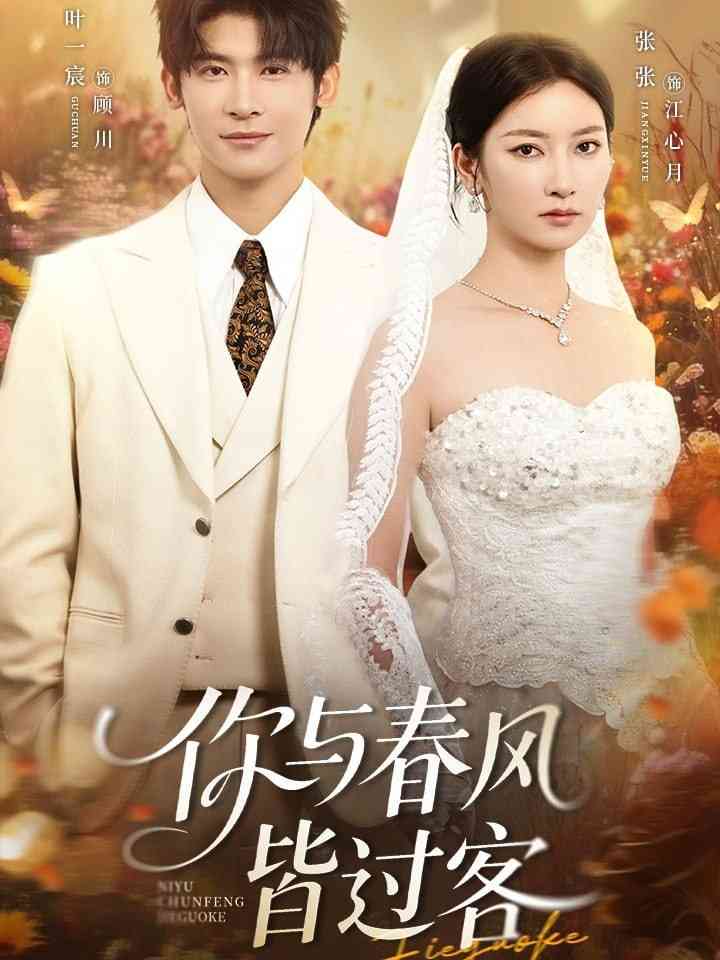 《你与春风皆过客》全集免费高清短剧无广告在线播放|短剧·中国大陆·2025