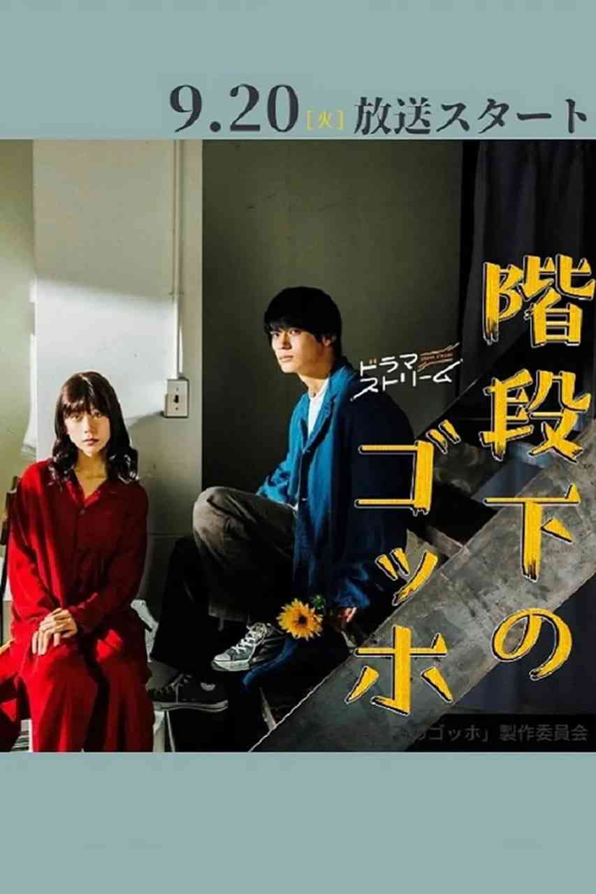 《阶梯下的梵高》全集免费高清电视剧无广告在线播放|剧情·日本·2022