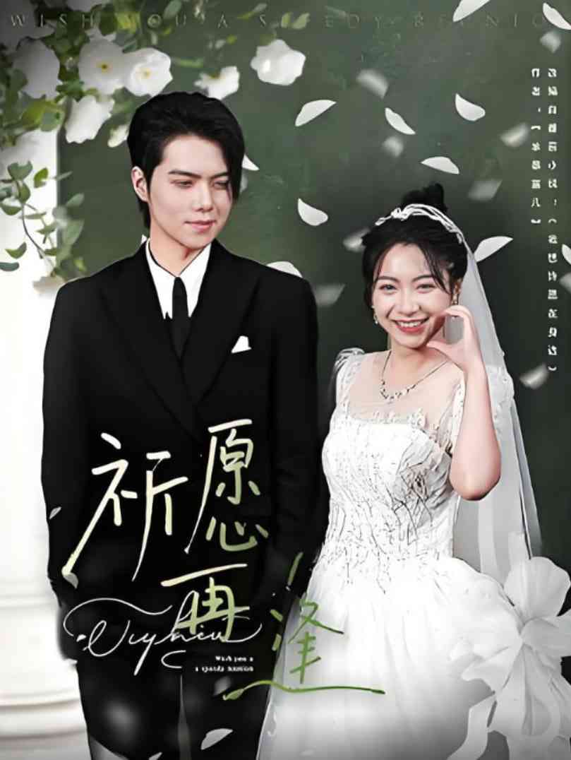 《祈愿再逢》全集免费高清短剧无广告在线播放|短剧·中国大陆·2025