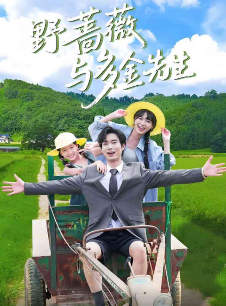 《野蔷薇与多金先生》全集免费高清短剧无广告在线播放|短剧·中国大陆·2025