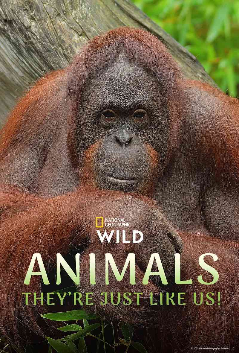 《动物，它们和我们一样！第一季》最新免费高清电影无广告在线播放|纪录片·美国·2025