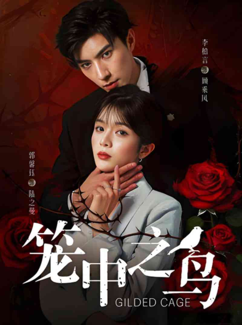《笼中之鸟》全集免费高清短剧无广告在线播放|短剧·中国大陆·2025