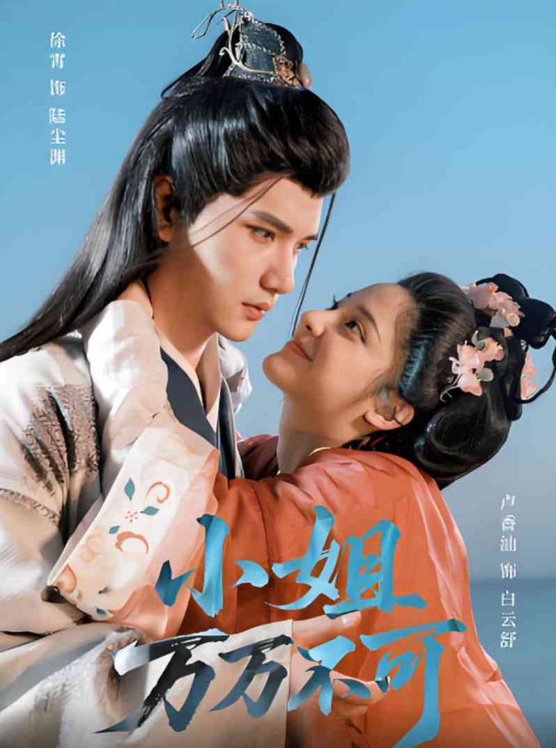 《小姐万万不可》全集免费高清短剧无广告在线播放|短剧·中国大陆·2025