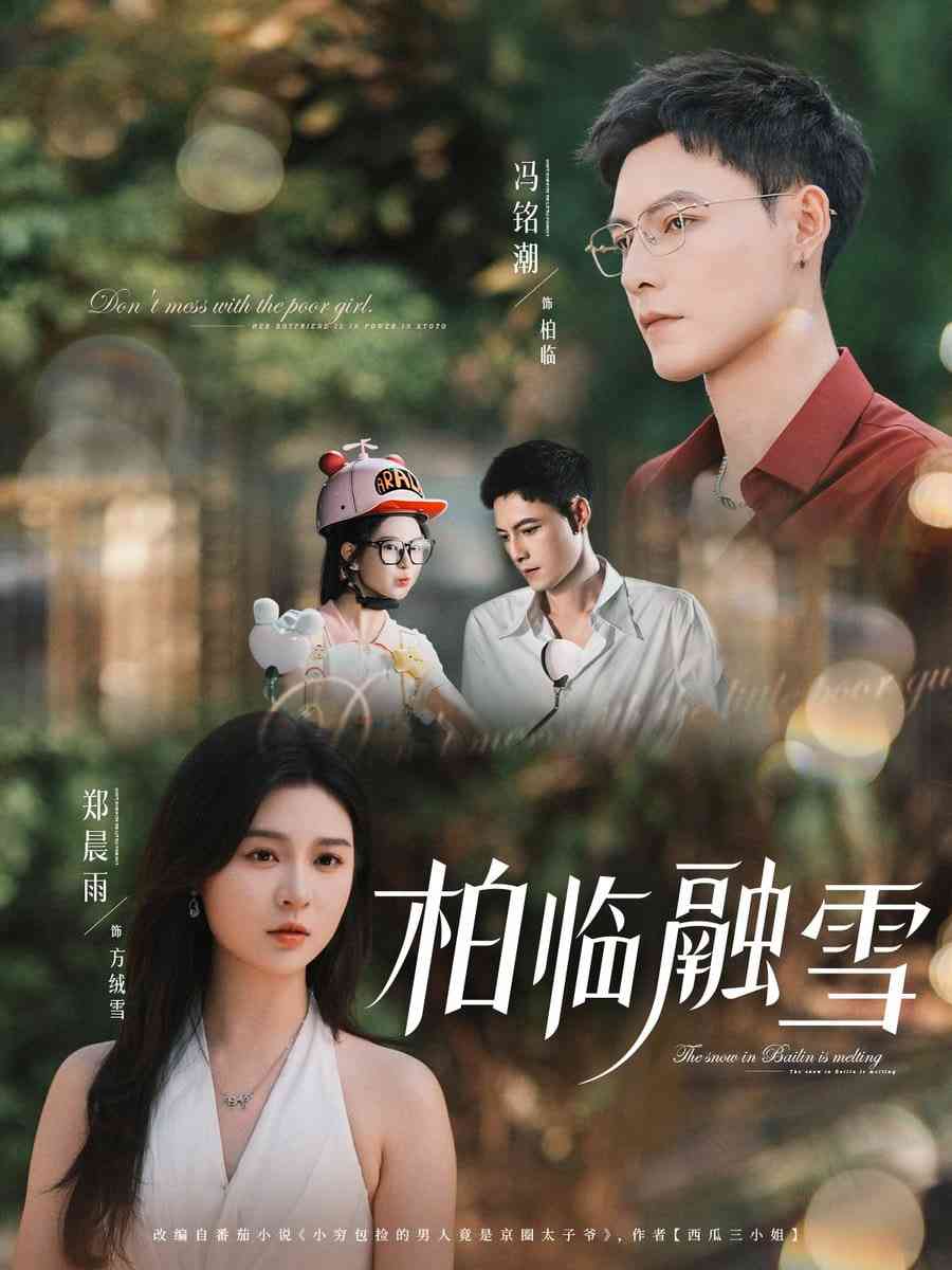 《柏临融雪》全集免费高清短剧无广告在线播放|短剧·中国大陆·2025
