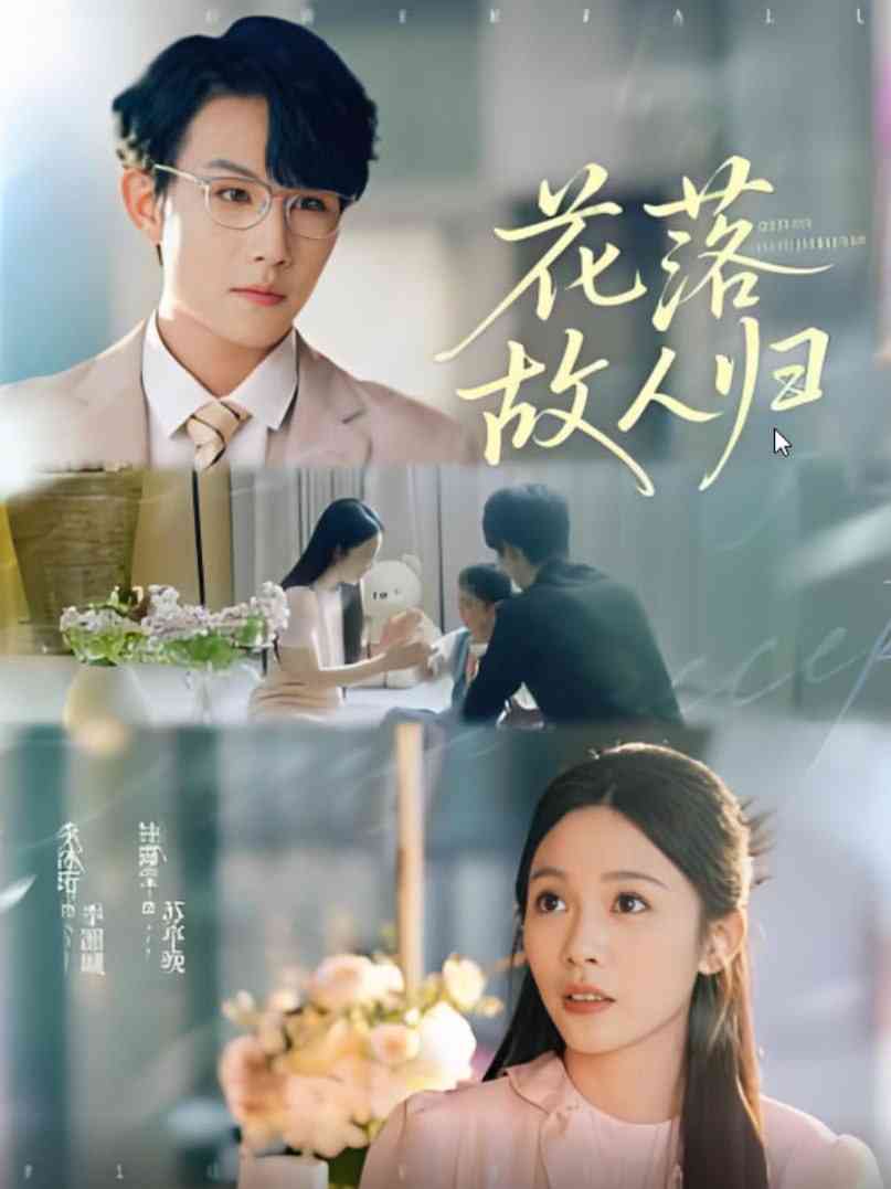 《花落故人归》全集免费高清短剧无广告在线播放|短剧·中国大陆·2025