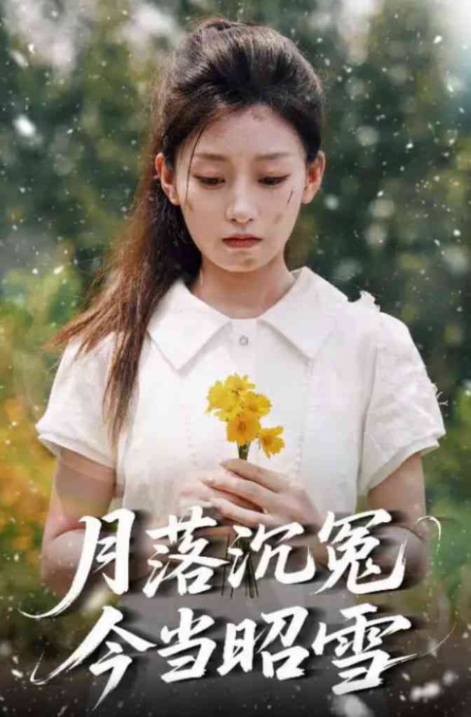 《月落沉冤今当昭雪》全集免费高清短剧无广告在线播放|短剧·中国大陆·2025