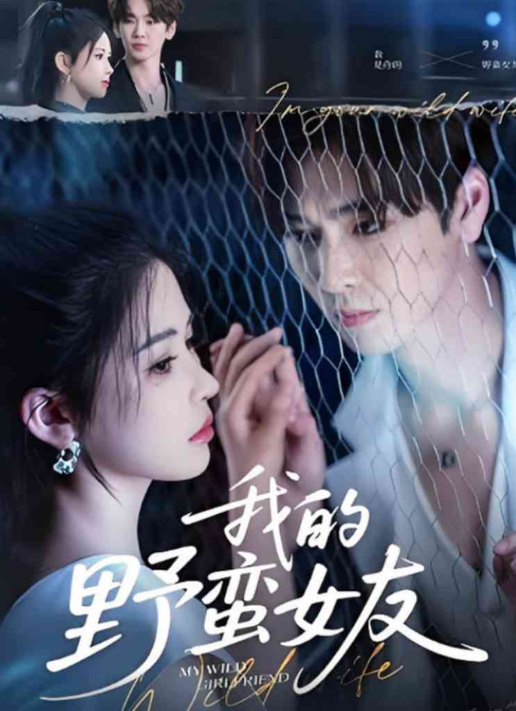 《我的野蛮女友》全集免费高清短剧无广告在线播放|短剧·中国大陆·2025