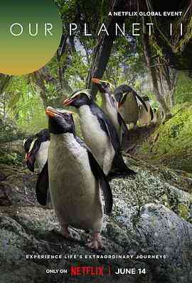 《我们的星球 第二季》最新免费高清电影无广告在线播放|纪录片,纪录·英国,美国·2023