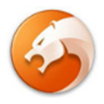 《猎豹浏览器最新》软件免费下载|系统工具·9.0.112.22581