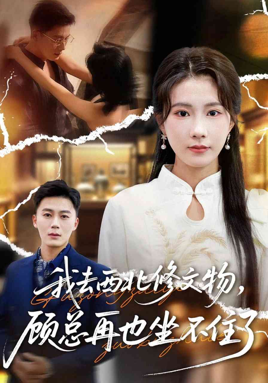 《我去西北修文物，顾总再也坐不住了》全集免费高清短剧无广告在线播放|短剧·中国大陆·2025