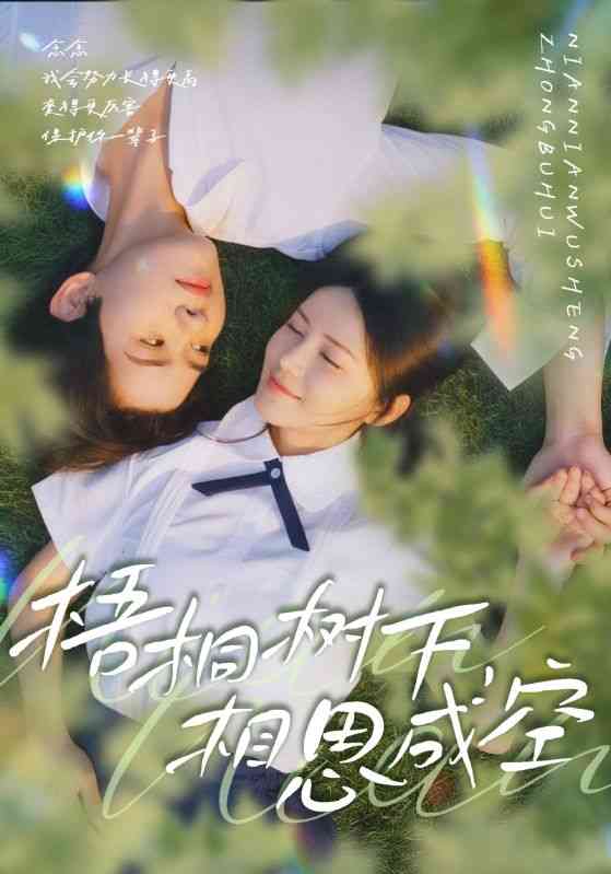 《梧桐树下，相思成空》全集免费高清短剧无广告在线播放|短剧·中国大陆·2025