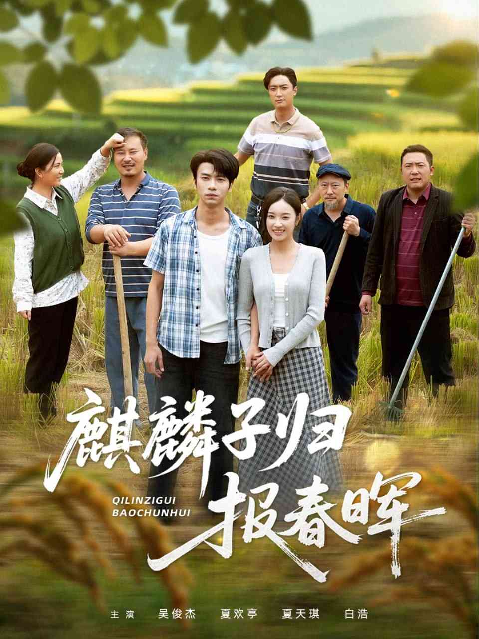 《麒麟子归报春晖》全集免费高清短剧无广告在线播放|短剧·中国大陆·2025