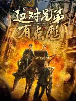 《这对兄弟有点彪》最新免费高清电影无广告在线播放|喜剧·中国大陆·2023  第1张
