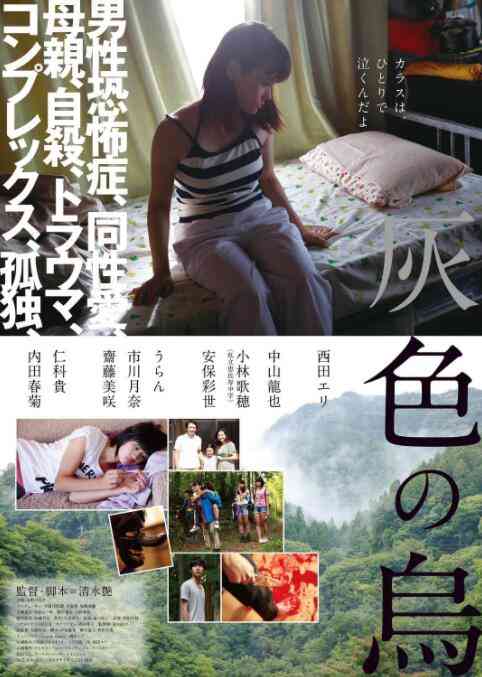 《灰色乌鸦》最新免费高清电影无广告在线播放|剧情·日本·2015  第1张
