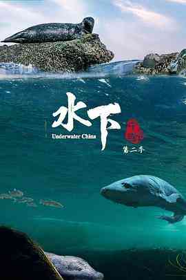 《水下中国 第二季》最新免费高清电影无广告在线播放|纪录片,纪录·中国大陆·2024  第1张