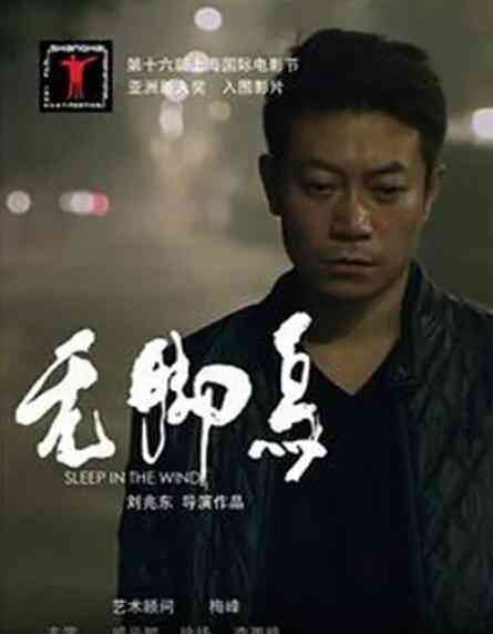 《无脚鸟》最新免费高清电影无广告在线播放|剧情·中国大陆·2013  第1张