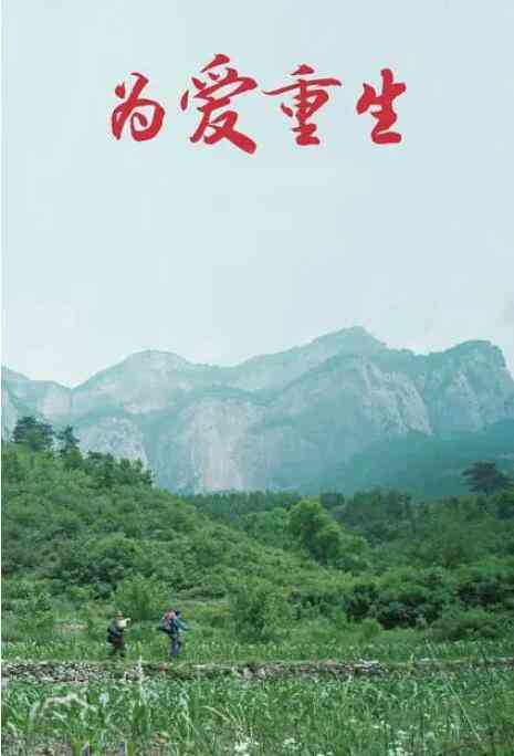 《为爱重生》最新免费高清电影无广告在线播放|剧情·中国大陆·2019  第1张