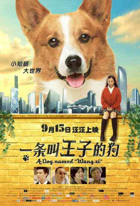 《一条叫王子的狗》最新免费高清电影无广告在线播放|喜剧·中国大陆·2016  第1张