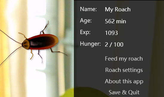 《桌面蟑螂宠物(Virtual Cockroach)v1.9》软件免费下载|主题美化·v1.9  第2张
