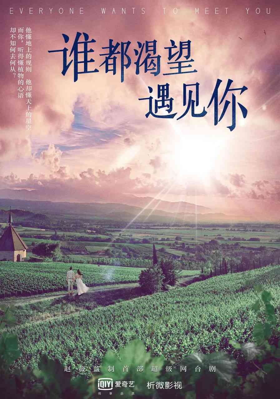 《谁都渴望遇见你》全集免费高清电视剧无广告在线播放|剧情,爱情·中国大陆·2020  第1张
