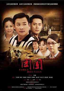 《团圆 2011》全集免费高清电视剧无广告在线播放|家庭·中国大陆·2010  第1张