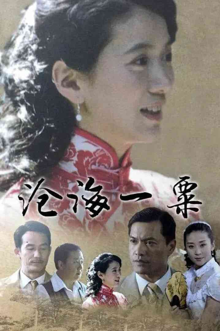 《沧海一粟》全集免费高清电视剧无广告在线播放|剧情·中国大陆·2017  第1张