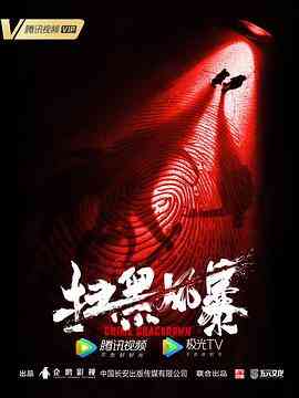 《扫黑风暴》全集免费高清电视剧无广告在线播放|剧情,犯罪·中国大陆·2021  第1张