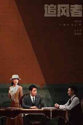 《追风者》全集免费高清电视剧无广告在线播放|剧情·中国大陆·2024  第1张